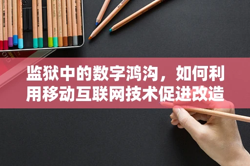 监狱中的数字鸿沟，如何利用移动互联网技术促进改造与再融入？