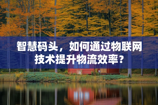智慧码头，如何通过物联网技术提升物流效率？