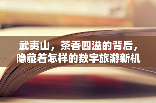 武夷山，茶香四溢的背后，隐藏着怎样的数字旅游新机遇？