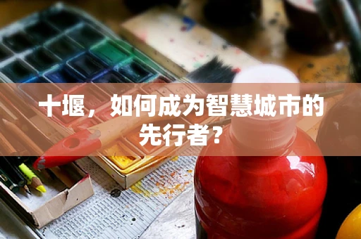 十堰，如何成为智慧城市的先行者？