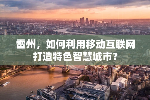 雷州，如何利用移动互联网打造特色智慧城市？