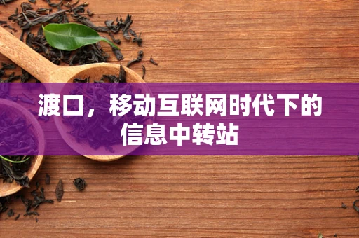 渡口，移动互联网时代下的信息中转站