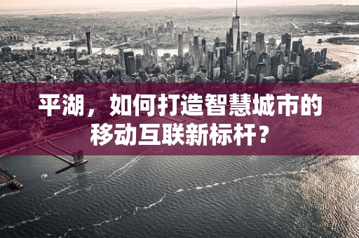 平湖，如何打造智慧城市的移动互联新标杆？