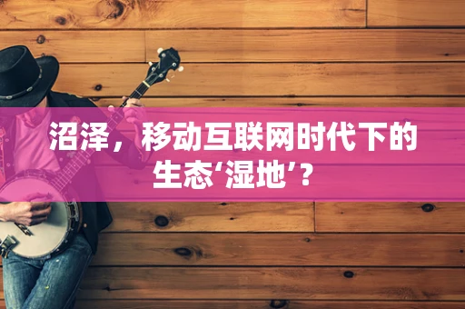 沼泽，移动互联网时代下的生态‘湿地’？
