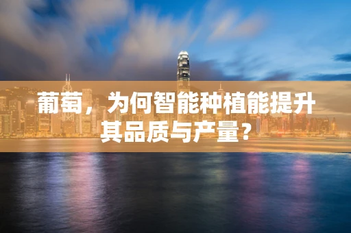 葡萄，为何智能种植能提升其品质与产量？