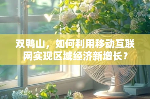 双鸭山，如何利用移动互联网实现区域经济新增长？