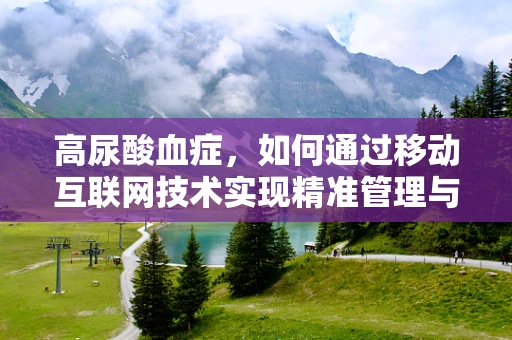 高尿酸血症，如何通过移动互联网技术实现精准管理与健康干预？