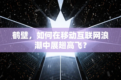 鹤壁，如何在移动互联网浪潮中展翅高飞？