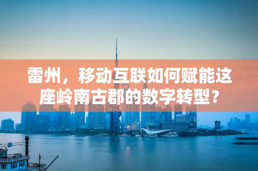 雷州，移动互联如何赋能这座岭南古郡的数字转型？