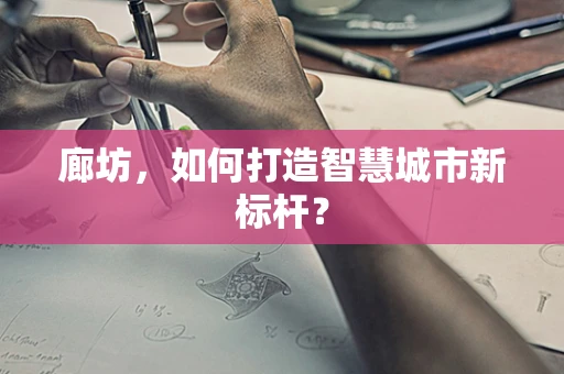 廊坊，如何打造智慧城市新标杆？