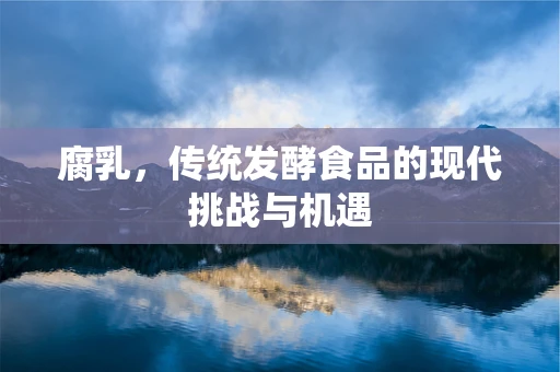 腐乳，传统发酵食品的现代挑战与机遇