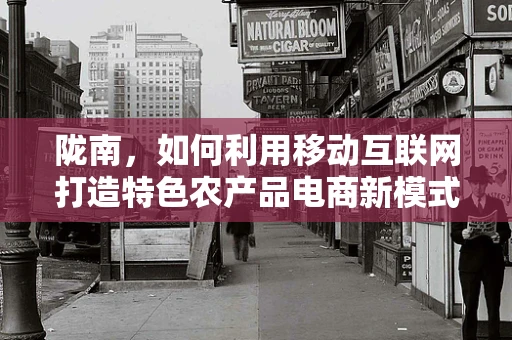 陇南，如何利用移动互联网打造特色农产品电商新模式？