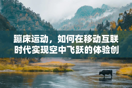 蹦床运动，如何在移动互联时代实现空中飞跃的体验创新？
