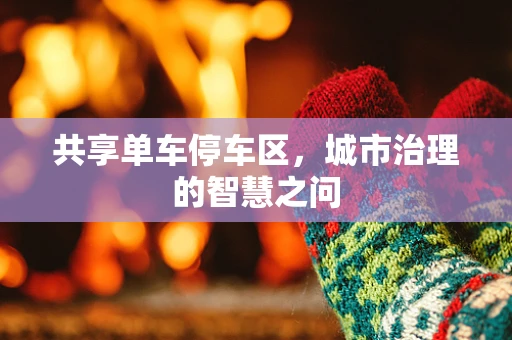 共享单车停车区，城市治理的智慧之问