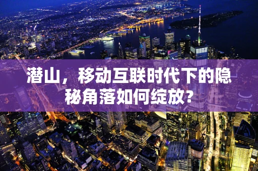 潜山，移动互联时代下的隐秘角落如何绽放？