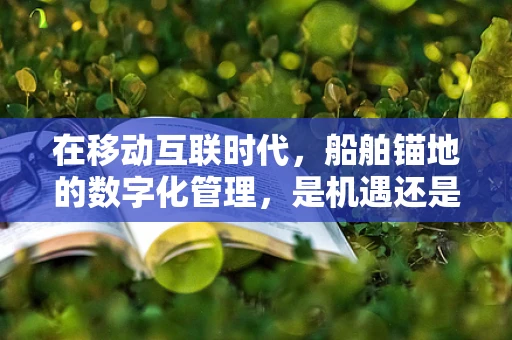 在移动互联时代，船舶锚地的数字化管理，是机遇还是挑战？