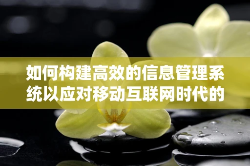 如何构建高效的信息管理系统以应对移动互联网时代的挑战？