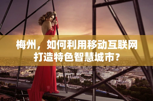 梅州，如何利用移动互联网打造特色智慧城市？