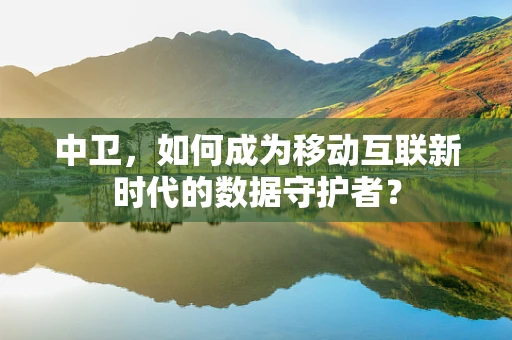 中卫，如何成为移动互联新时代的数据守护者？