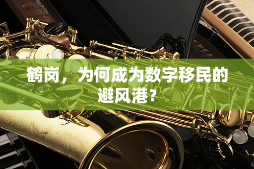 鹤岗，为何成为数字移民的避风港？