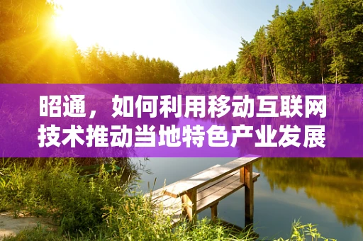 昭通，如何利用移动互联网技术推动当地特色产业发展？