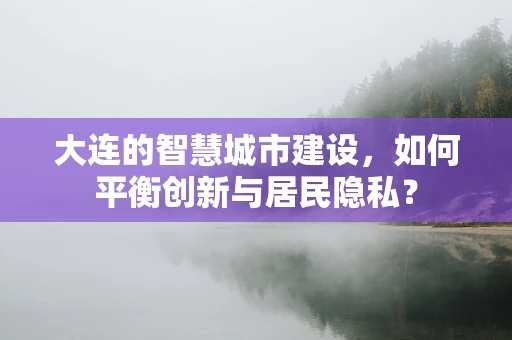 大连的智慧城市建设，如何平衡创新与居民隐私？