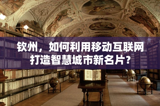 钦州，如何利用移动互联网打造智慧城市新名片？