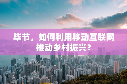 毕节，如何利用移动互联网推动乡村振兴？