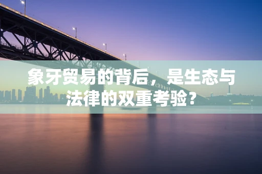 象牙贸易的背后，是生态与法律的双重考验？
