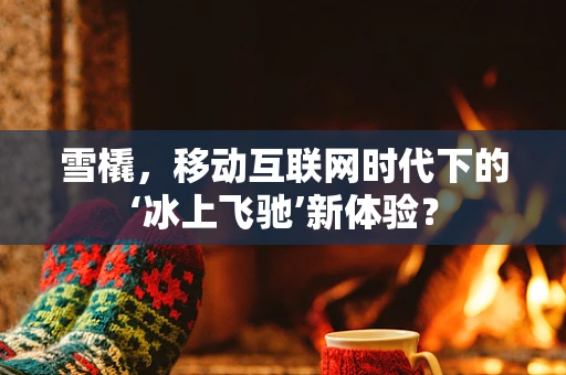 雪橇，移动互联网时代下的‘冰上飞驰’新体验？