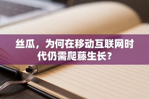 丝瓜，为何在移动互联网时代仍需爬藤生长？
