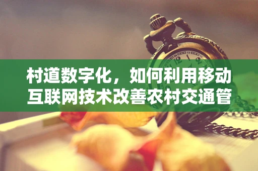 村道数字化，如何利用移动互联网技术改善农村交通管理？