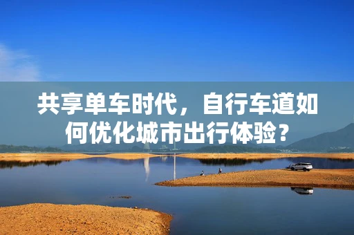 共享单车时代，自行车道如何优化城市出行体验？