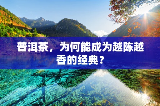 普洱茶，为何能成为越陈越香的经典？
