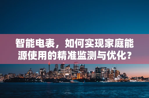 智能电表，如何实现家庭能源使用的精准监测与优化？