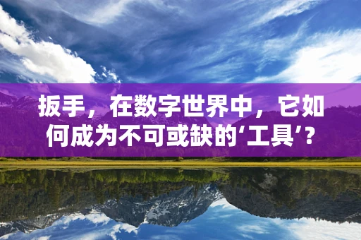 扳手，在数字世界中，它如何成为不可或缺的‘工具’？