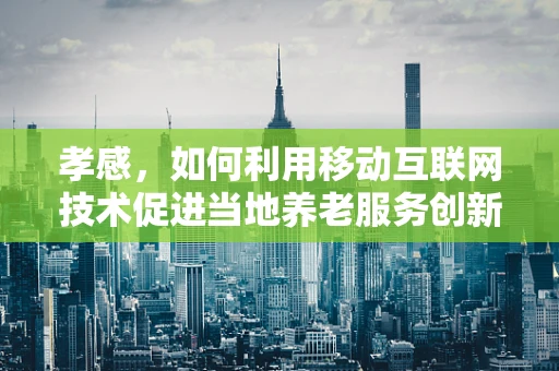 孝感，如何利用移动互联网技术促进当地养老服务创新？