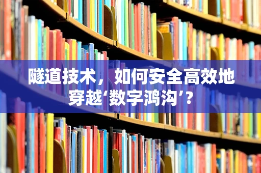 隧道技术，如何安全高效地穿越‘数字鸿沟’？