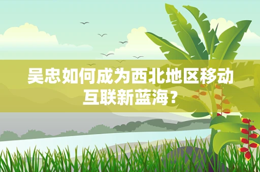 吴忠如何成为西北地区移动互联新蓝海？