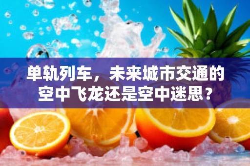单轨列车，未来城市交通的空中飞龙还是空中迷思？