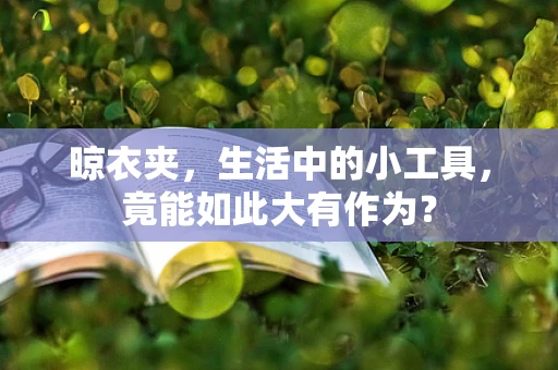 晾衣夹，生活中的小工具，竟能如此大有作为？