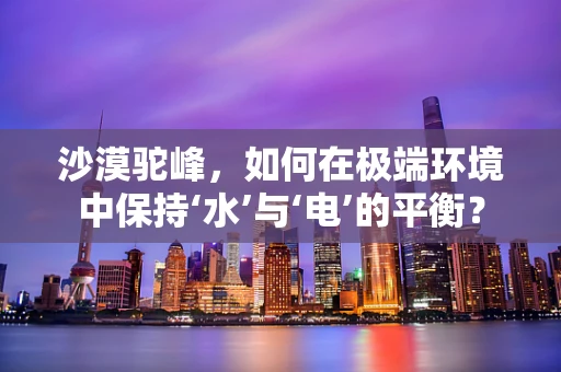 沙漠驼峰，如何在极端环境中保持‘水’与‘电’的平衡？
