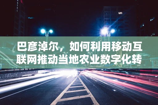 巴彦淖尔，如何利用移动互联网推动当地农业数字化转型？