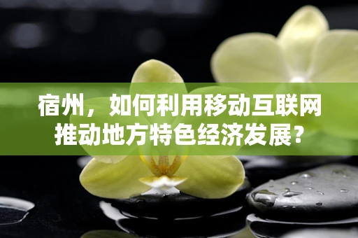 宿州，如何利用移动互联网推动地方特色经济发展？