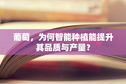 葡萄，为何智能种植能提升其品质与产量？