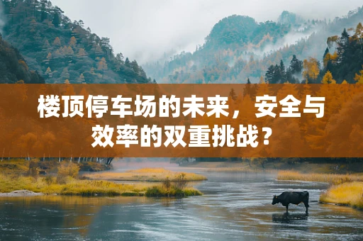 楼顶停车场的未来，安全与效率的双重挑战？