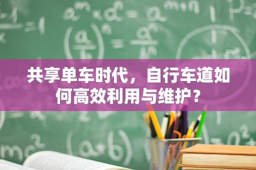 共享单车时代，自行车道如何高效利用与维护？
