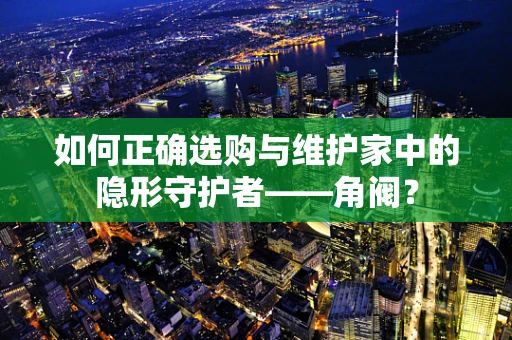 如何正确选购与维护家中的隐形守护者——角阀？