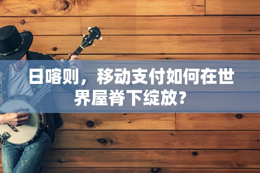 日喀则，移动支付如何在世界屋脊下绽放？