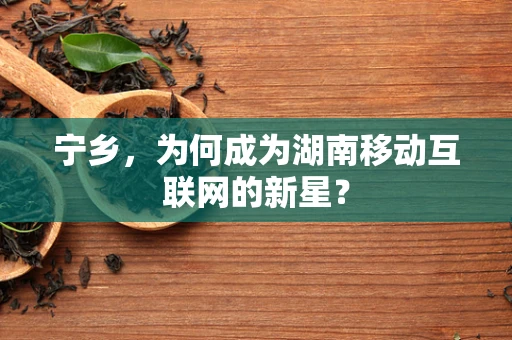 宁乡，为何成为湖南移动互联网的新星？